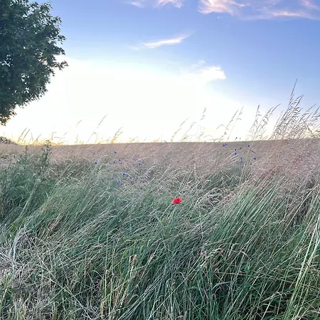 דירה Pfarrhaus Tollensesee Penzlin