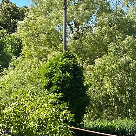 Pfarrhaus Tollensesee Penzlin