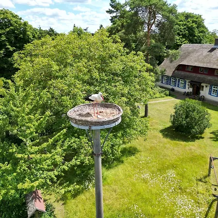 Pfarrhaus Tollensesee Apartment Penzlin