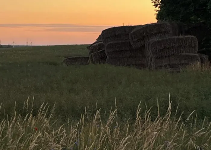 Pfarrhaus Tollensesee 公寓