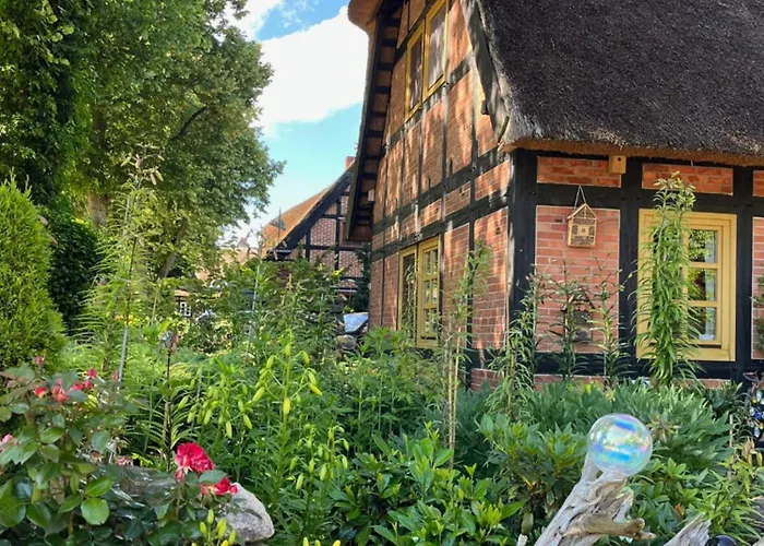 Pfarrhaus Tollensesee 公寓 *