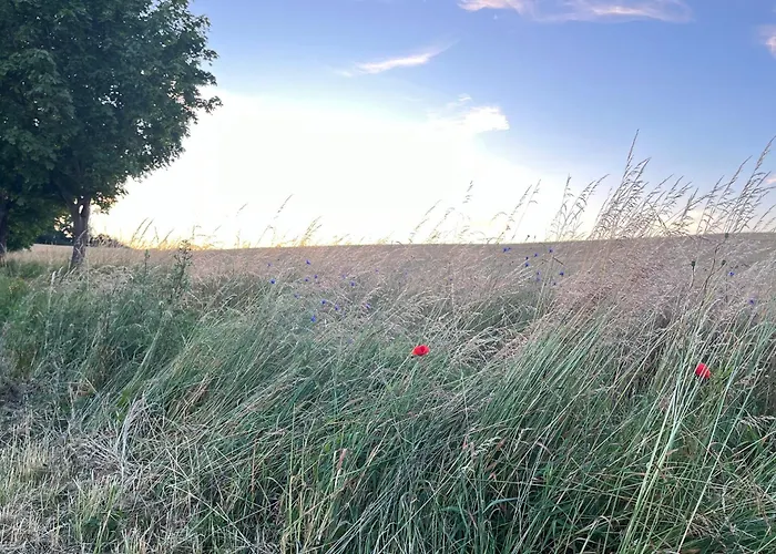 公寓 Pfarrhaus Tollensesee Penzlin