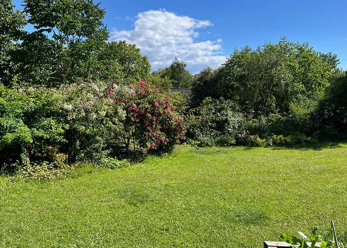 Pfarrhaus Tollensesee 公寓 Penzlin